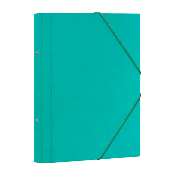 Dohe Carpeta Clasificadora 12 Departamentos - Formato Folio - Carton Plastificado - Cierre con Gomas - Color Verde Claro