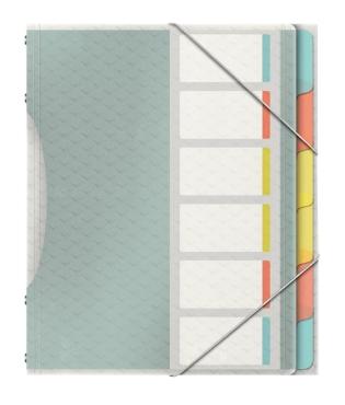 ESSELTE CLASIFICADOR COLOUR´ICE 6 SEPARADORES 266X320X20 MM POLIPROPILENO COLORES SURTIDOS