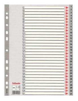 ESSELTE ÍNDICE NUMÉRICO MULTITALADRO 1-31 POLIPROPILENO A4 GRIS CON CARÁTULA ÍNDICE CARTÓN COLOR