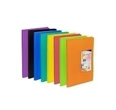 CARCHIVO CARPETA CARCHIPLÁS-BOOK DE POLIPROPILENO TRASLÚCIDOS CON 40 FUNDAS SOLDADAS FOLIO ROJO