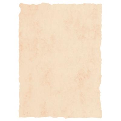 MICHEL PERGAMINO TROQUELADO 200GR A4 PACK 25U BEIGE