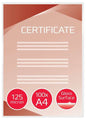 GBC Pack de 100 Carteras Plastificacion A4 con Brillo - Alta Calidad - 125 Micras - Transparente