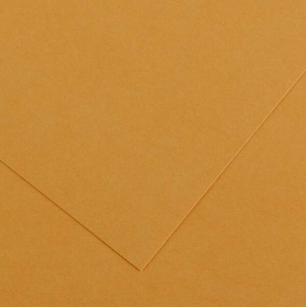 Canson Guarro Pack de 25 Cartulinas Iris de 185g - 50x65cm - Color Cuero