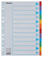 Esselte Separadores 12 Posiciones - Multitaladro - 6 Colores - Carton - Tamaño A4