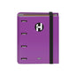 Dohe Serie Icon Carpeta de 4 Anillas Formato A5 con Recambio de 100 Hojas de 90 gr y 4 Taladros - Cierre con Goma Elastica - Anillas de 25mm - Color Morado