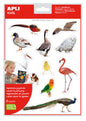 Apli Gomets Tematicos Realistas de Aves - 24 Gomets en 2 Hojas - Imagenes Realistas para Relacionar Aves - Desarrolla Habilidades Motoras - Adhesivo Removible - Adhesivo Base Agua - Libre de Disolventes - Surtido Tematico