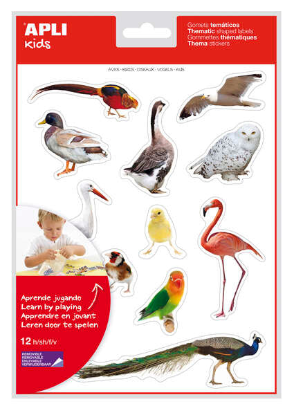 Apli Gomets Tematicos Realistas de Aves - 144 Gomets en 12 Hojas - Imagenes Realistas para Relacionar Aves - Desarrolla Habilidades Motoras - Adhesivo Removible - Adhesivo Base Agua - Coloridos
