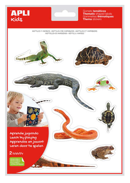 Apli Gomets Tematicos Realistas de Reptiles y Anfibios - 20 Gomets - Imagenes Realistas para Relacionar Animales - Adhesivo Removible - Adhesivo Base Agua - Libre de Disolventes - Descubre el Surtido