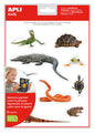 Apli Gomets Tematicos Realistas de Reptiles y Anfibios - 20 Gomets - Imagenes Realistas para Relacionar Animales - Adhesivo Removible - Adhesivo Base Agua - Libre de Disolventes - Descubre el Surtido
