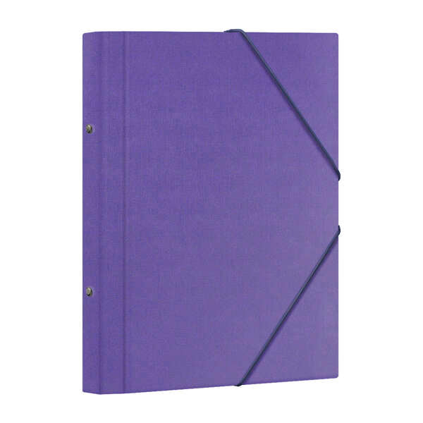Dohe Carpeta Clasificadora 12 Departamentos - Formato Folio - Carton Plastificado - Cierre con Gomas - Color Morado